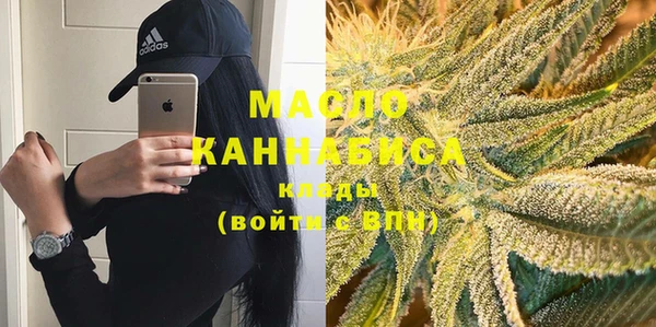 мдпв Бородино