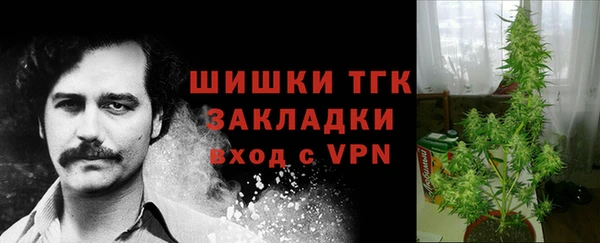 бошки Бронницы