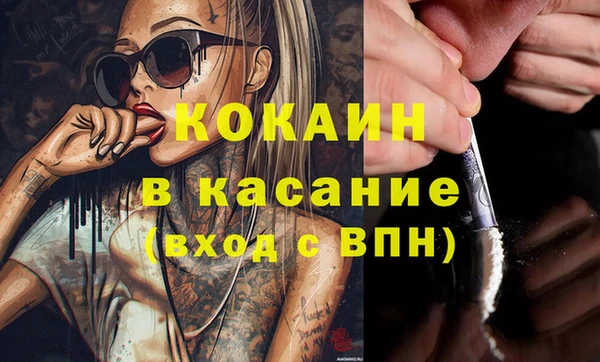 бошки Бронницы