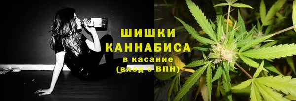 бошки Бронницы