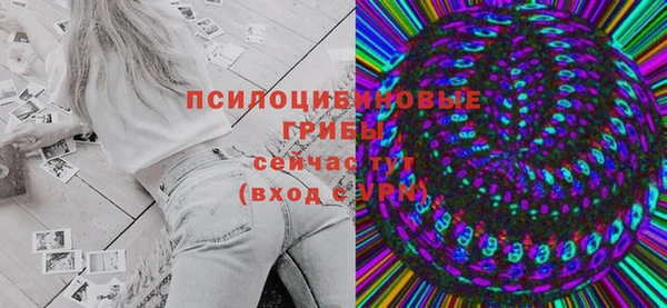 бошки Бронницы