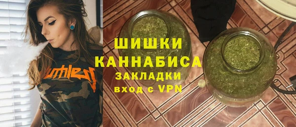 мдпв Бородино