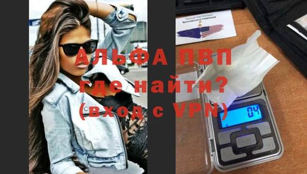 мдпв Бородино