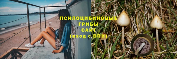spice Бугульма