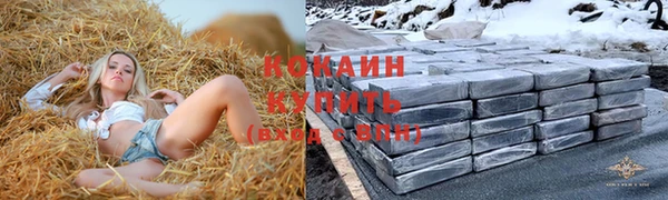 бошки Бронницы