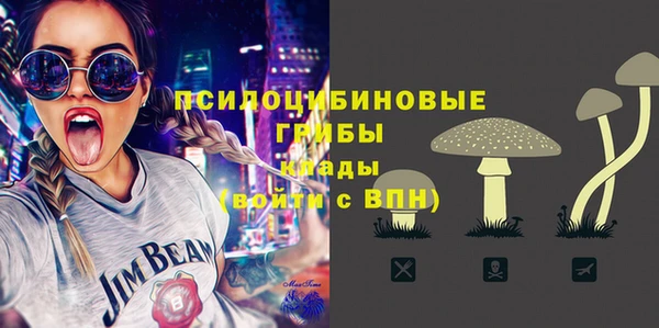 spice Бугульма