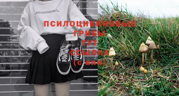 мдпв Бородино