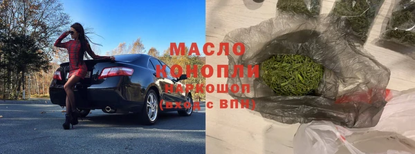 мдпв Бородино