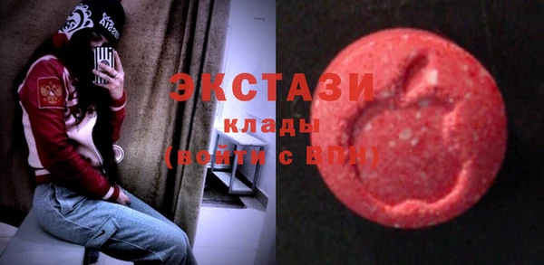 мдпв Бородино