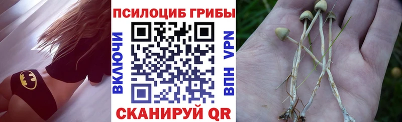 Псилоцибиновые грибы GOLDEN TEACHER  Купить  Десногорск 