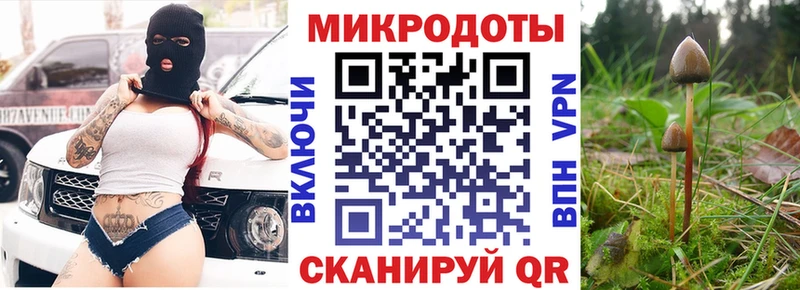 Галлюциногенные грибы Cubensis Десногорск